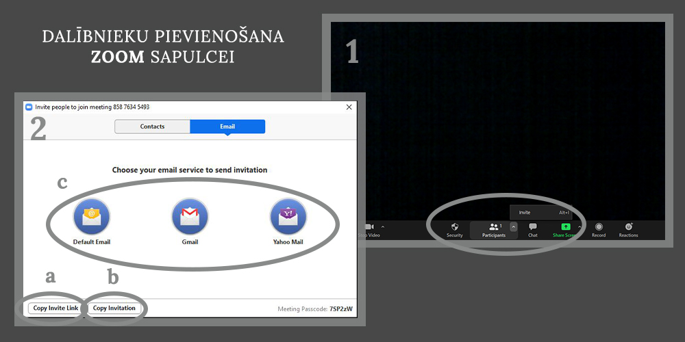 Pixelflow media Blogs Zoom pamacība